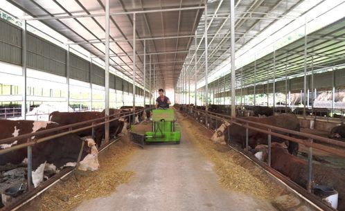 會昌三款產(chǎn)品入選全國名特優(yōu)新農(nóng)產(chǎn)品公示名單，彰顯初級農(nóng)產(chǎn)品品質(zhì)新高度