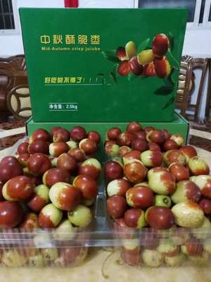 茂名農產品種苗批發(fā) 初級農產品產業(yè)鏈的活力之源