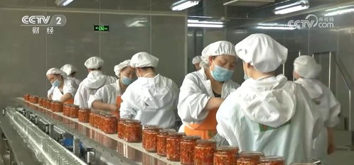 全鏈條推進鄉(xiāng)村特色產業(yè) 以農產品加工業(yè)提升土特產效益