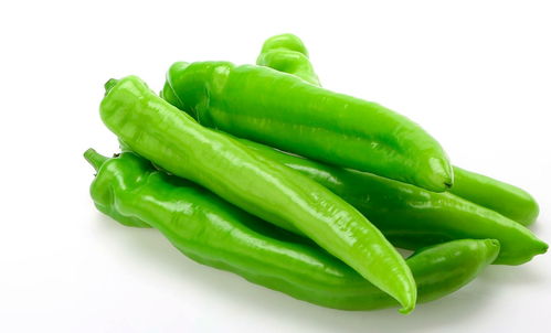 美菜網(wǎng) 以服務(wù)筑基，以品質(zhì)求存，深耕初級農(nóng)產(chǎn)品市場